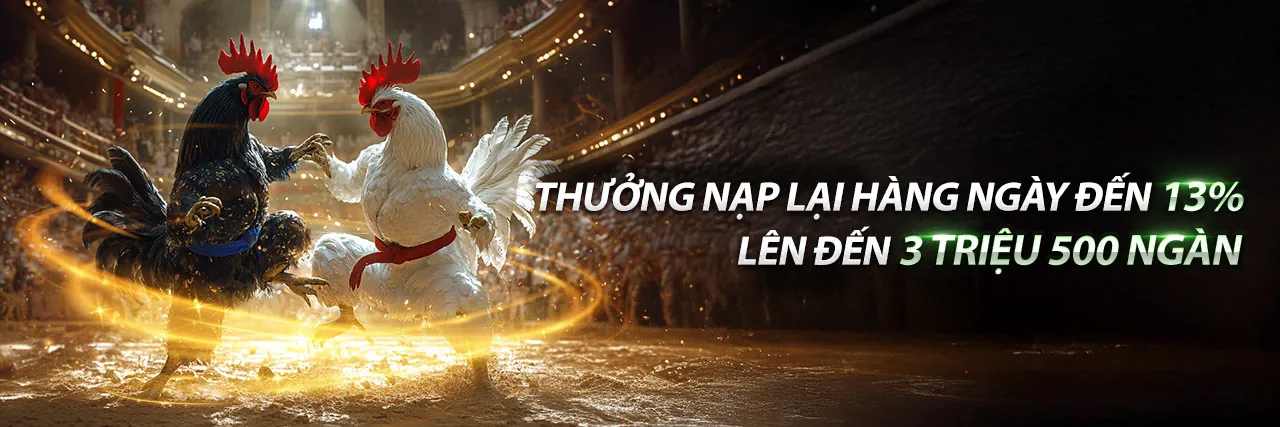 Hình ảnh giới thiệu 8day khuyến mãi, thể hiện sự chuyên nghiệp và đáng tin cậy trong ngành cá cược trực tuyến.