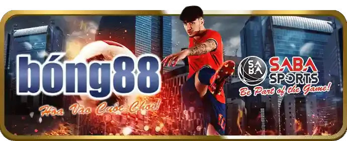 Kèo BDD (Hòa) trong đá gà